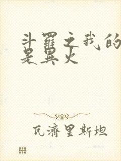 斗罗之我的武魂是异火