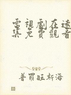 电视剧在远方全集免费观看西瓜