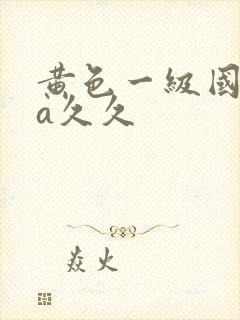 黄色一级国产片a久久