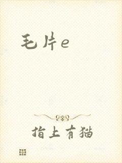 毛片e