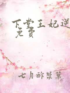下堂王妃逆袭记 免费
