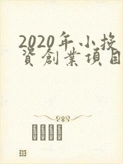 2020年小投资创业项目是挣钱