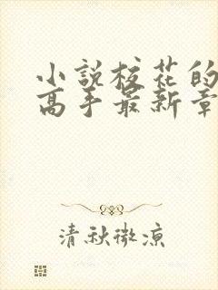 小说校花的贴身高手最新章节下载