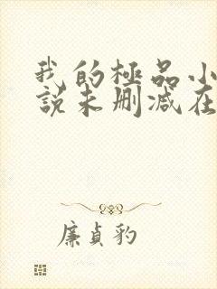 我的极品小姨小说未删减在线看