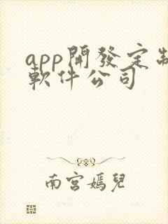 app开发定制软件公司