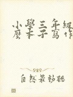 小学三年级用什么本子写作业