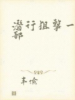 潜行狙击一共几部