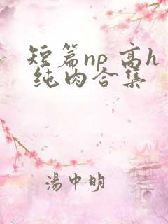 短篇np 高h 纯肉合集