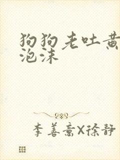 狗狗老吐黄水带泡沫