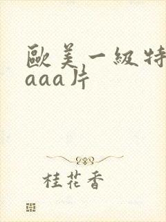 欧美一级特黄aaaa片