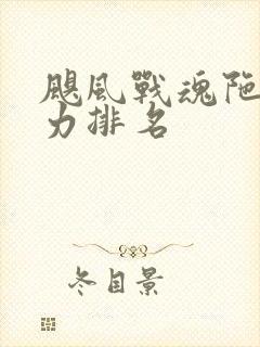 飓风战魂陀螺实力排名