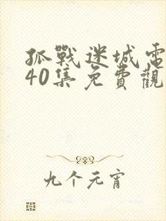 孤战迷城电视剧40集免费观看高清版