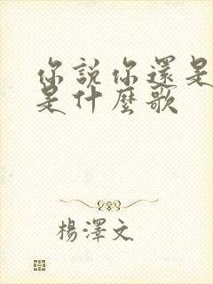 你说你还是爱我是什么歌