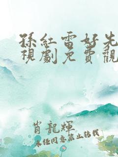 孙红雷好先生电视剧免费观看全集