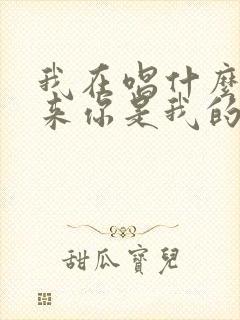 我在唱什么歌原来你是我的主打歌