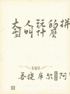 大人玩的拼装模型叫什么