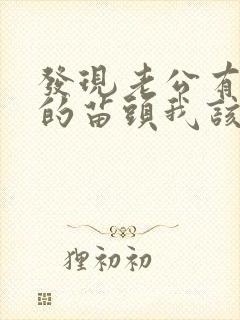 发现老公有出轨的苗头我该怎么做