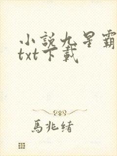 小说九星霸体诀txt下载