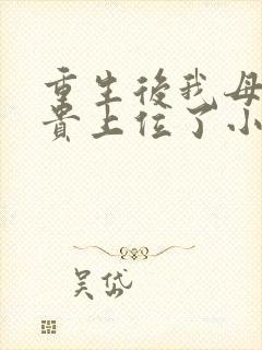 重生后我母凭子贵上位了小说