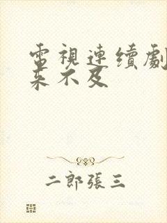 电视连续剧我怕来不及