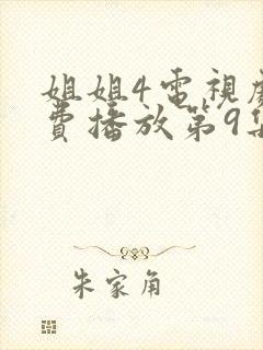 姐姐4电视剧免费播放第9集