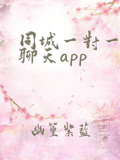 同城一对一视频聊天app