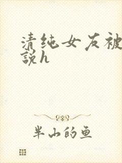 清纯女友被c小说h