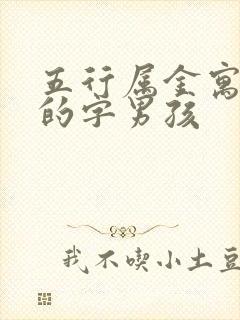 五行属金寓意好的字男孩