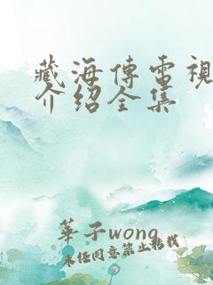 藏海传电视剧情介绍全集