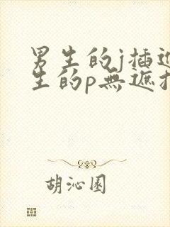 男生的j插进女生的p无遮挡