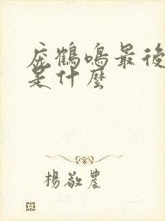 庞鹤鸣最后结局是什么