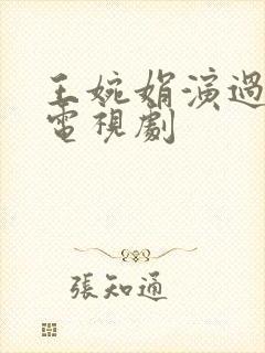 王婉娟演过哪些电视剧