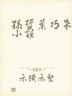 孙哲叶巧朱颜的小说