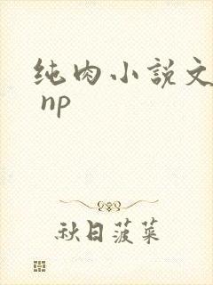 纯肉小说文高h np