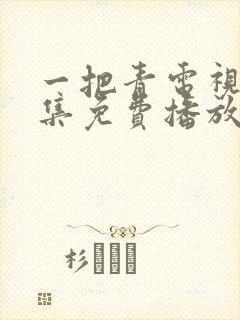 一把青电视剧全集免费播放