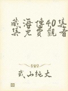 藏海传40集全集免费观看