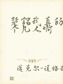 楚铭我真的只是个凡人啊