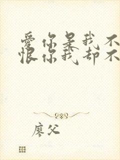 爱你是我不小心恨你我却不忍心是什么歌