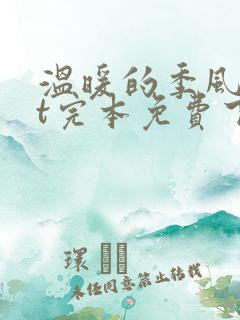 温暖的季风txt完本免费下载