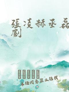 张凌赫丞磊演的剧