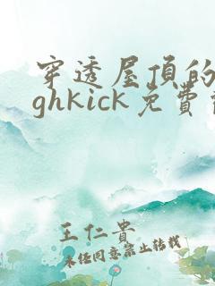 穿透屋顶的highkick免费观看全集