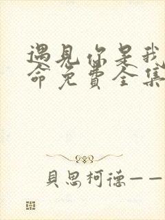 遇见你是我的宿命免费全集在线观看