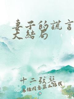 妻子的谎言短剧大结局