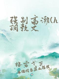 强制高潮(h)调教文