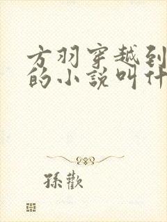 方羽穿越到亮剑的小说叫什么
