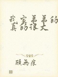 我家弟弟的弟弟真的很大