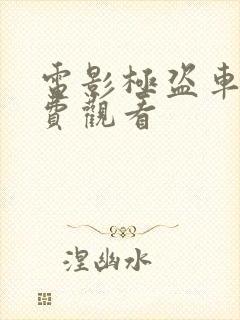 电影极盗车神免费观看