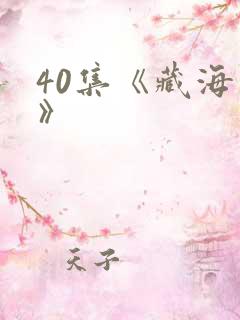 40集《藏海传》