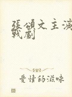 张颂文主演的谍战剧