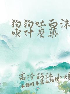 狗狗吐白沫黏液吃什么药